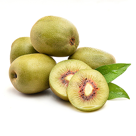 开云网页版产品中心八